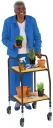 IDEAL FOOD TROLLEY